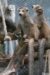 Parc Zoologique et Botanique de Mulhouse