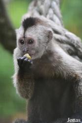 Zoo de Guyane
