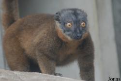 Parc Zoologique et Botanique de Mulhouse