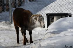 Assiniboine Park Zoo
