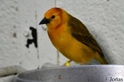 Assiniboine Park Zoo