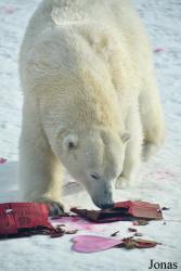 Assiniboine Park Zoo