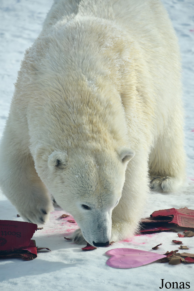 Assiniboine Park Zoo
