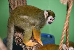 Assiniboine Park Zoo