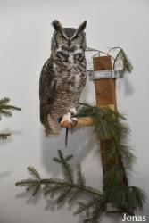 Wildlife Haven Rehabilitation Centre