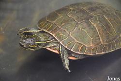 Wildlife Haven Rehabilitation Centre