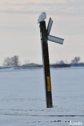 Manitoba