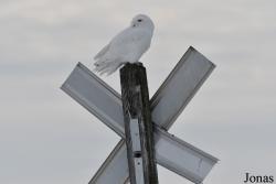Manitoba