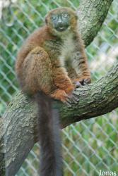 Parc Zoologique et Botanique de Mulhouse