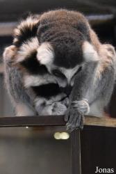 Zoopark Vilnius