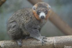 Parc Zoologique et Botanique de Mulhouse