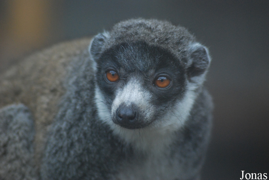 Parc Zoologique et Botanique de Mulhouse