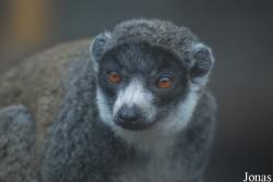 Parc Zoologique et Botanique de Mulhouse
