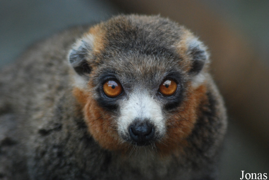 Parc Zoologique et Botanique de Mulhouse