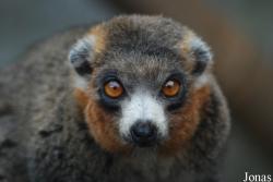 Parc Zoologique et Botanique de Mulhouse