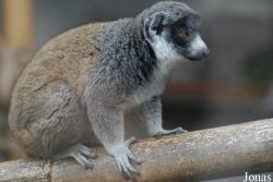 Parc Zoologique et Botanique de Mulhouse