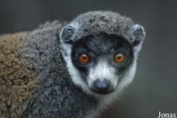 Parc Zoologique et Botanique de Mulhouse