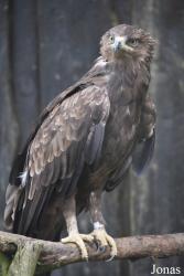 Rīgas Zoodārza Filiāle Cīruļi
