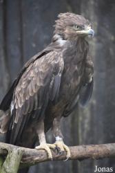 Rīgas Zoodārza Filiāle Cīruļi