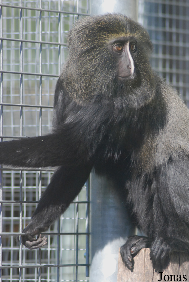 Parc Zoologique et Botanique de Mulhouse