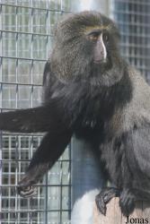 Parc Zoologique et Botanique de Mulhouse