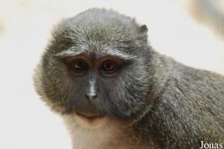 Parc Zoologique et Botanique de Mulhouse