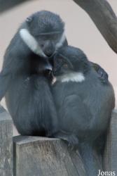 Parc Zoologique et Botanique de Mulhouse