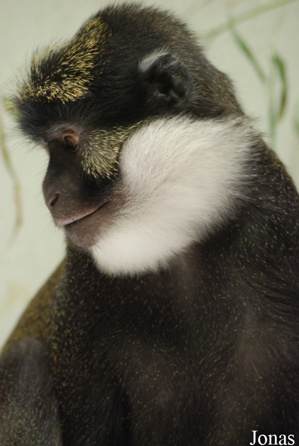 Parc Zoologique et Botanique de Mulhouse