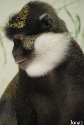 Parc Zoologique et Botanique de Mulhouse