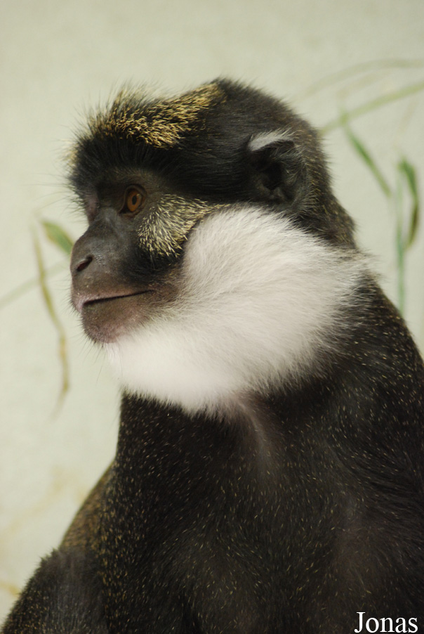 Parc Zoologique et Botanique de Mulhouse