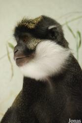 Parc Zoologique et Botanique de Mulhouse