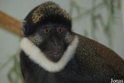 Parc Zoologique et Botanique de Mulhouse