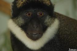 Parc Zoologique et Botanique de Mulhouse