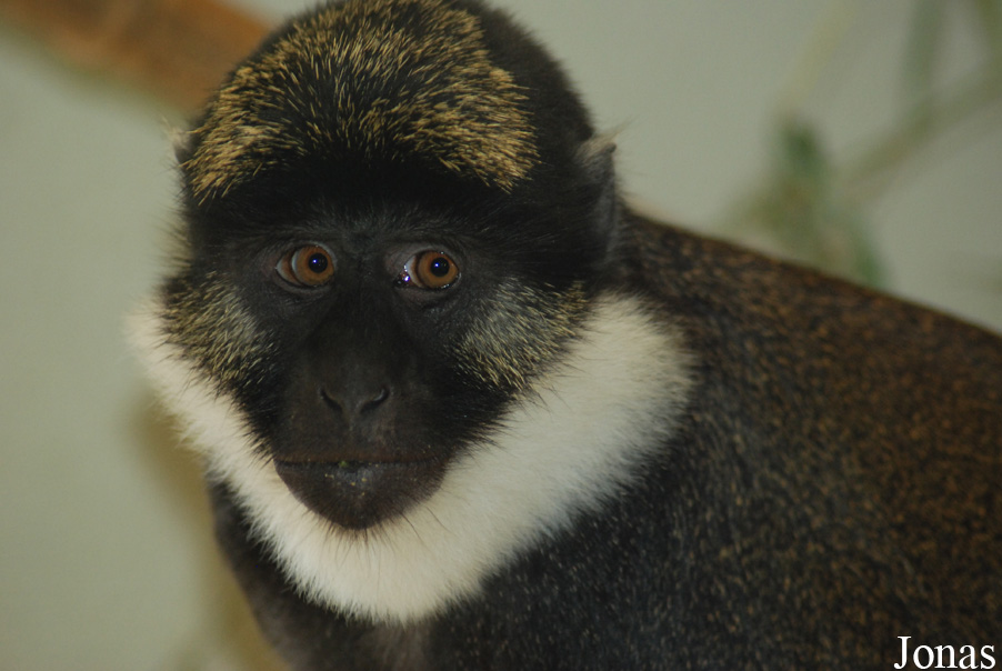 Parc Zoologique et Botanique de Mulhouse