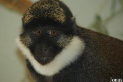 Parc Zoologique et Botanique de Mulhouse