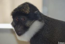 Parc Zoologique et Botanique de Mulhouse