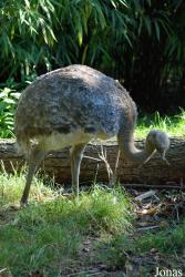 Parc Zoologique et Botanique de Mulhouse