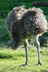 Parc Zoologique et Botanique de Mulhouse