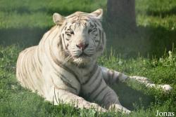 Klaipėdos Zoologijos Sodas