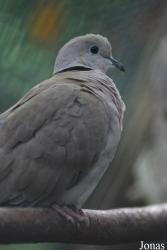 Parc Zoologique et Botanique de Mulhouse