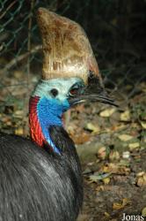 Parc Zoologique et Botanique de Mulhouse