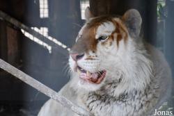 Klaipėdos Zoologijos Sodas