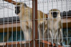 Trakėnų ZooParkas