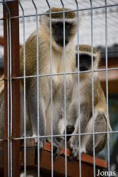 Trakėnų ZooParkas