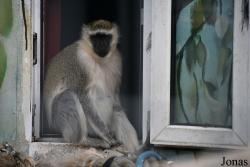 Trakėnų ZooParkas