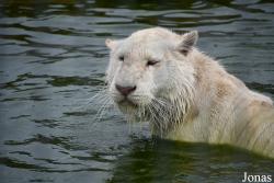 Trakėnų ZooParkas