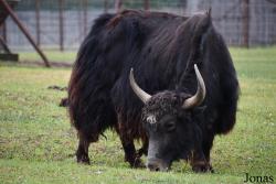 Trakėnų ZooParkas