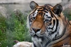 Trakėnų ZooParkas