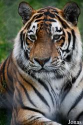 Trakėnų ZooParkas