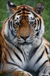 Trakėnų ZooParkas